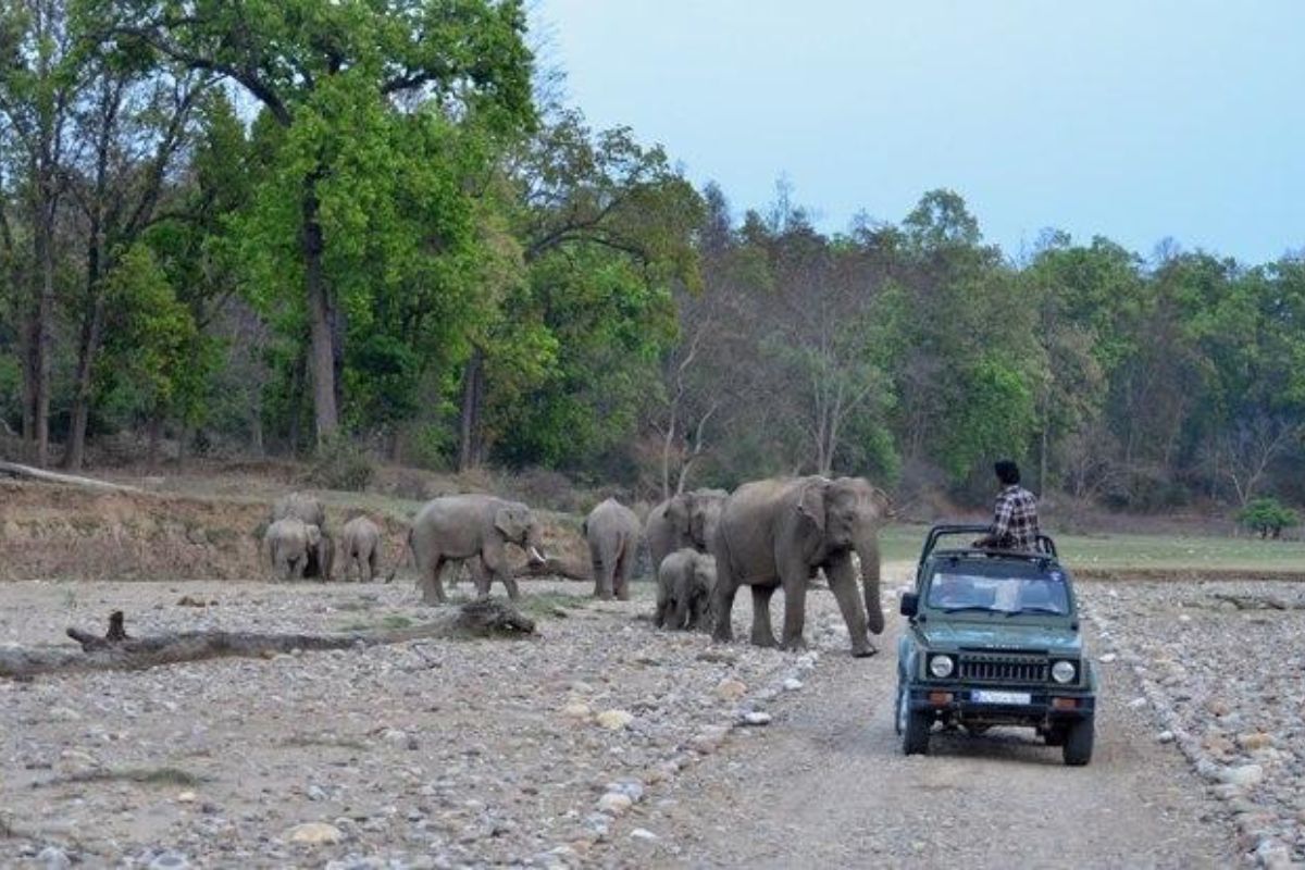 rishikesh (7)