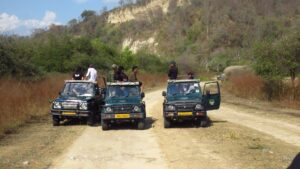 Rajaji National Park