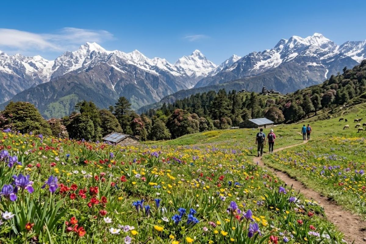 chopta (2)