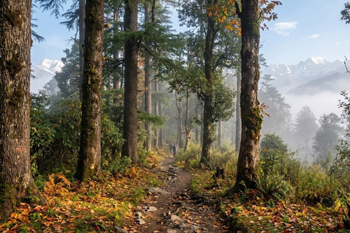 chopta (3)
