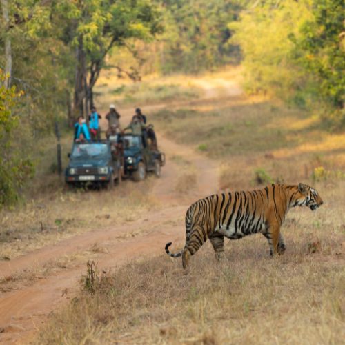 kalagarh tiger reserve