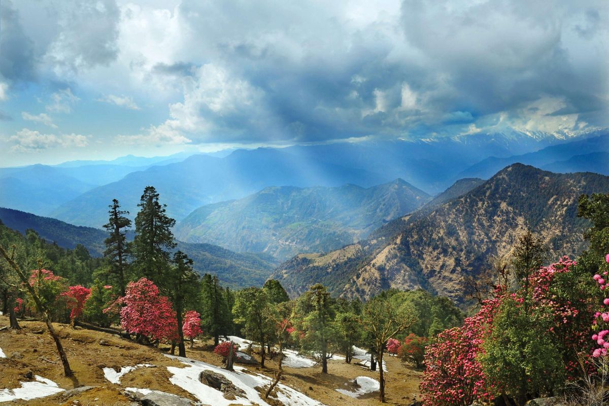 nagtibba (3)